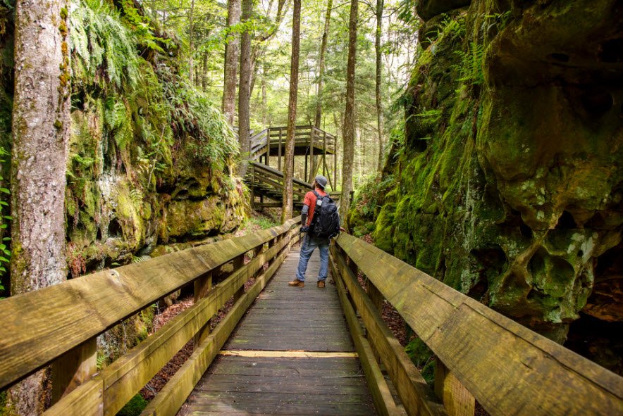 Beartown State Park, West Virginia, USA